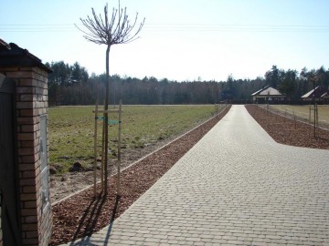 Ogród w lesie sosnowym - ułożone nawierzchnie według projektu